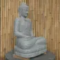 morepic-2